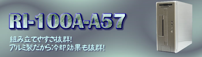 ȤΩƤ䤹ȴѸ̤ȴRI-100A-A57