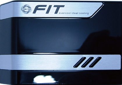 FIT1